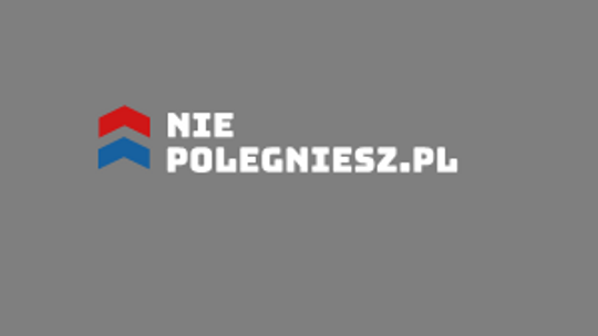Niepolegniesz.pl - serwis biznesowo-finansowy
