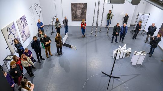 3 maja wystawa w Pałacyku Strzeleckim czynna - BWA zaprasza - Majówka ze sztuką