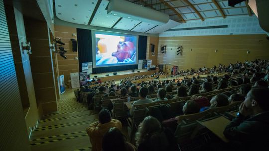 ADventure, czyli XIX Nocne Spotkanie z Reklamą 