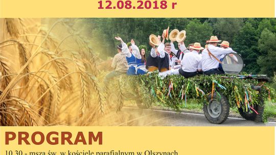 Dożynki wiejskie w Olszynach