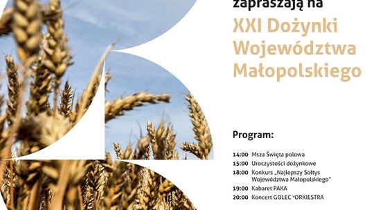 Dożynki wojewódzkie w Zakliczynie z Golec uOrkiestra 