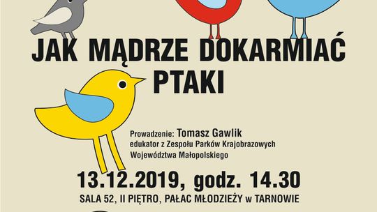 Jak dokarmiać ptaki żeby im nie zaszkodzić?