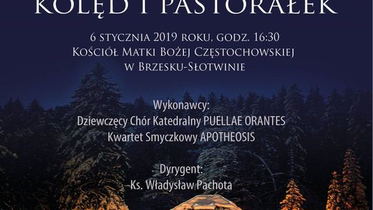 Koncert kolęd i pastorałek w Brzesku