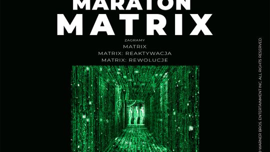 Maratony filmowe - Cinema3D - Galeria Tarnovia - Jeden film to za mało!