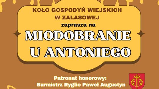 Miodobranie u Antoniego w winnicy w Woli Lubeckiej