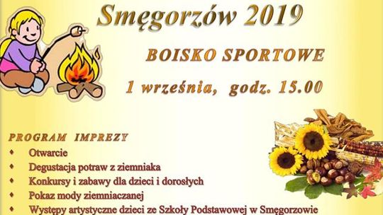 VII Święto Ziemniaka w Dąbrowie Tarnowskiej