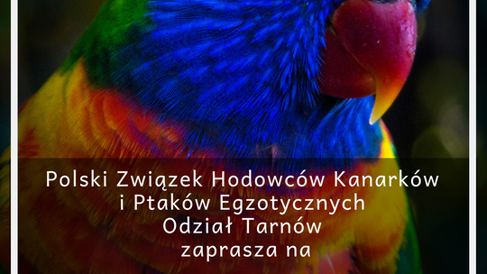 Wystawa Kanarków i Ptaków Egzotycznych 2019 w Tarnowie!
