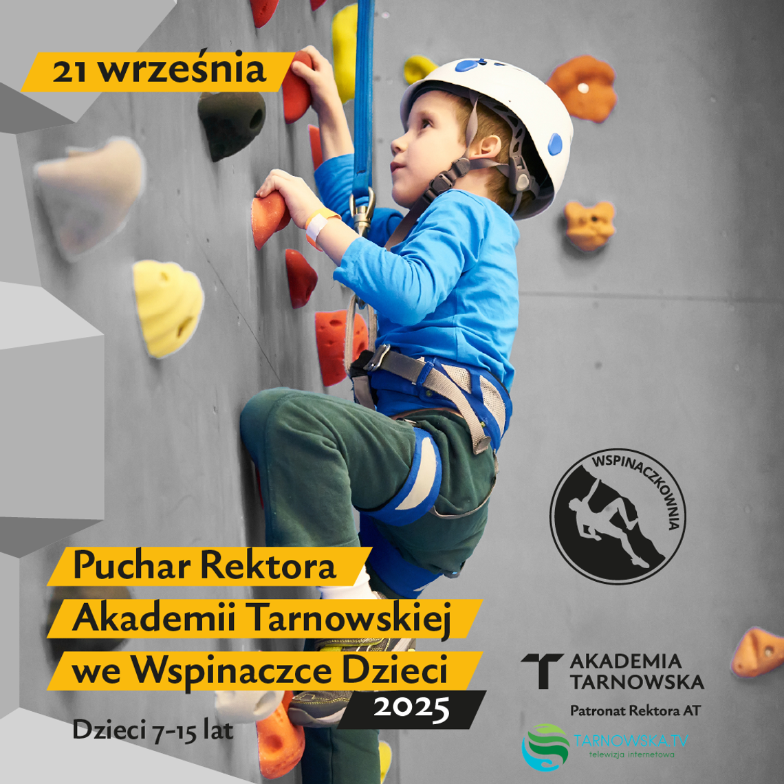 Puchar Rektora Akademii Tarnowskiej we wspinaczce dzieci
