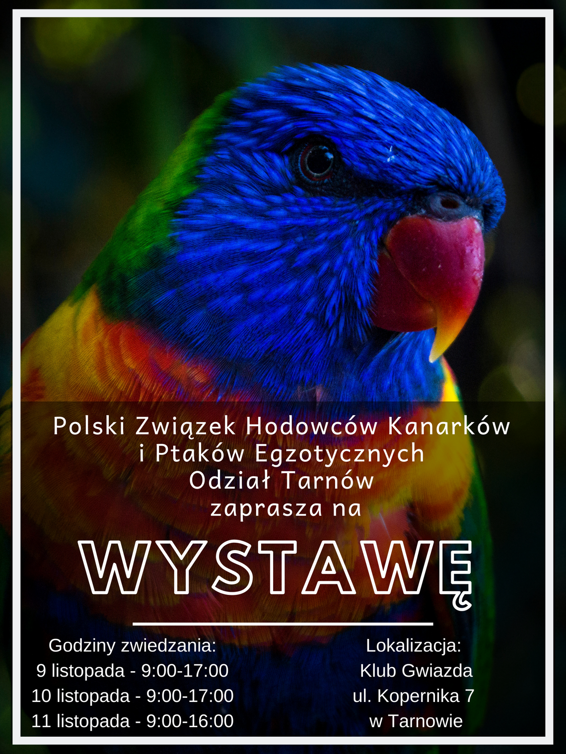 Wystawa Kanarków i Ptaków Egzotycznych 2019 w Tarnowie!