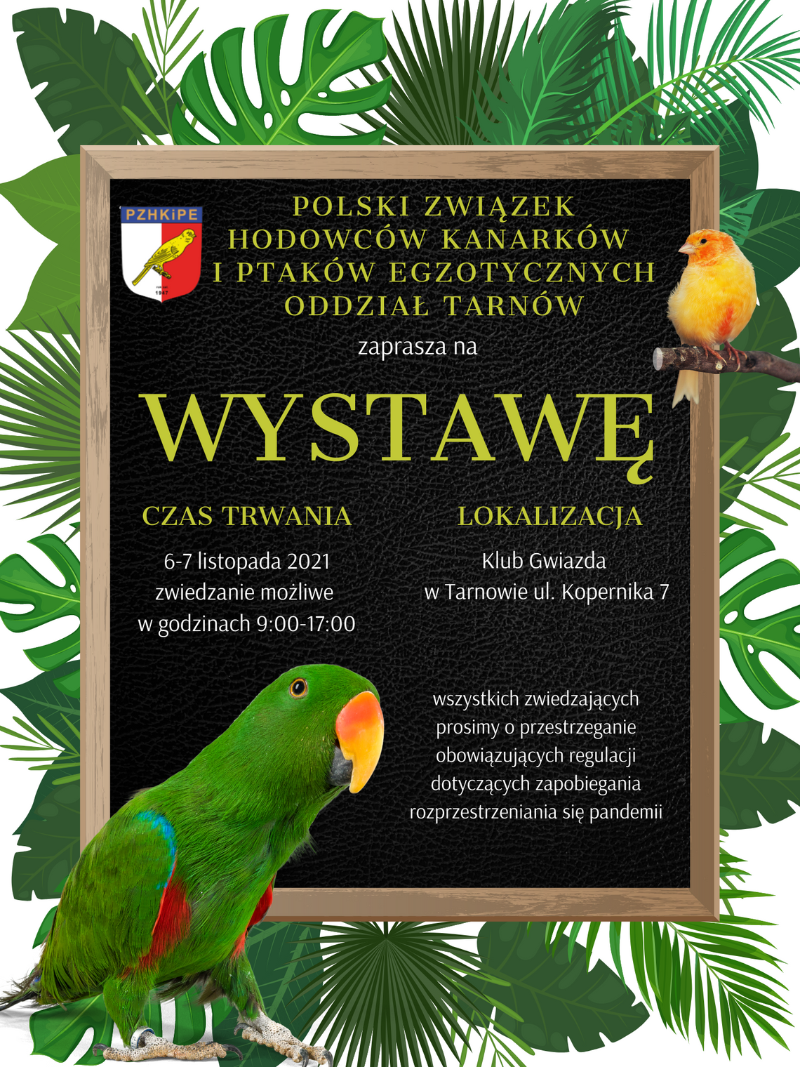 Wystawa Kanarków i Ptaków Egzotycznych 2021 Wystawa Kanarków i Ptaków Egzotycznych 2021