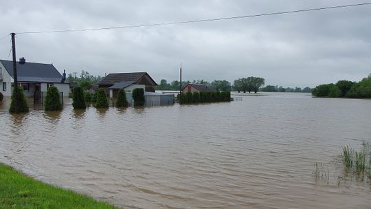 Suchy Grunt zalany w gminie Szczucin [ZDJĘCIA]