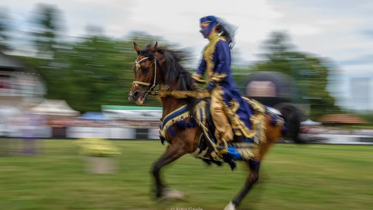 All-Polish Arabian Horse Championship 2023 - dzień drugi [zdjęcia]