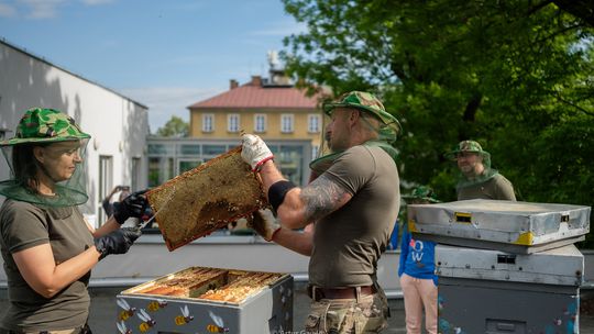 Trzecie miodobranie na dachu Teatru [zdjęcia]