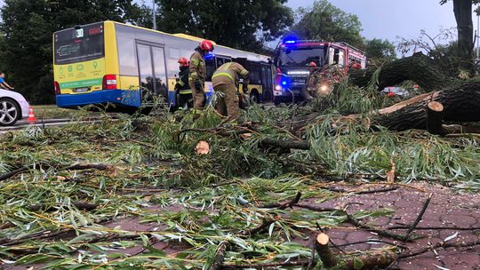 Krajobraz po burzy, która przeszła nad Tarnowem [ZDJĘCIA]