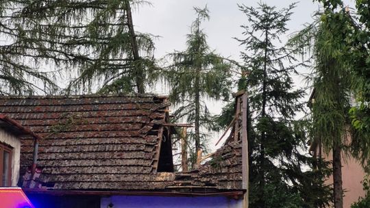 Powiat brzeski liczy straty po przejściu nawałnicy [zdjęcia]