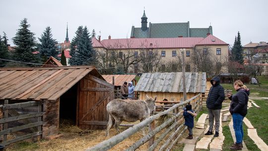 Żywa Szopka u Bernardynów otwarta! [zdjęcia]