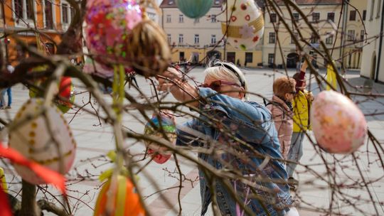 Pisankowy Desant zawisł na tarnowskich drzewach [zdjęcia]
