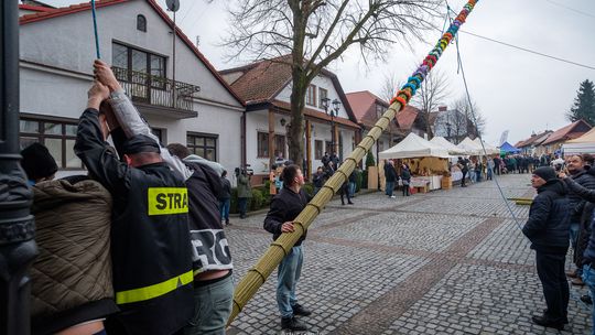 Gigantyczne palmy już rosną nad rynkiem. Trwa 67. Lipnicki Konkurs Palm Wielkanocnych [zdjęcia]