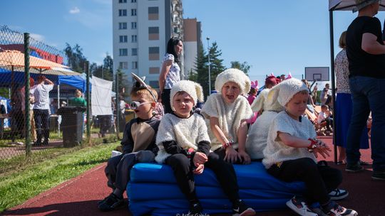 Piknik Rodzinny na Westerplatte [zdjęcia]