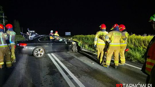 Zderzenie BMW z łosiem i Mercedesem w Lisiej Górze [zdjęcia]